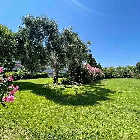 Apartament Au Centre De Avec Terrasse Saint-Tropez