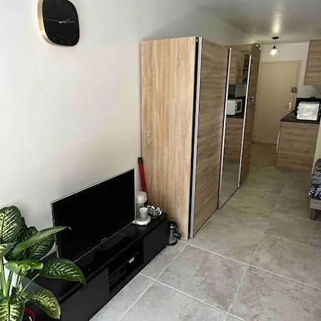 Au Centre De Avec Terrasse Apartament *