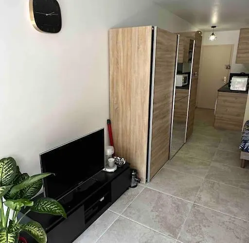 Au Centre De Avec Terrasse Daire *